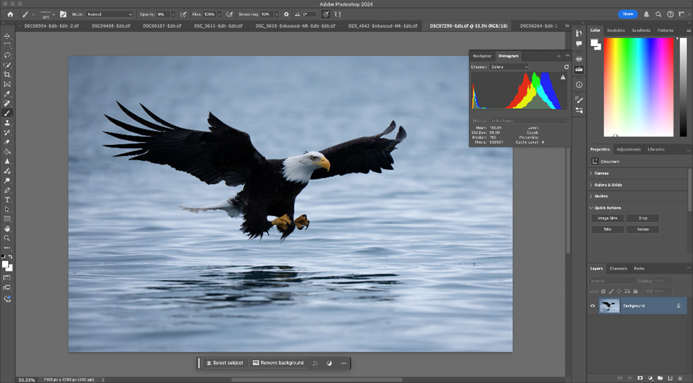 The histogram appears frequently in editing software as seen above. This serves as the base for levels adjustments, where we can fine tune our exposure using the histogram as a visual aid. The histogram appears frequently in editing software as seen above. This serves as the base for levels adjustments, where we can fine tune our exposure using the histogram as a visual aid.